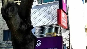 金加珍银楼 - Penghu County, Magong City