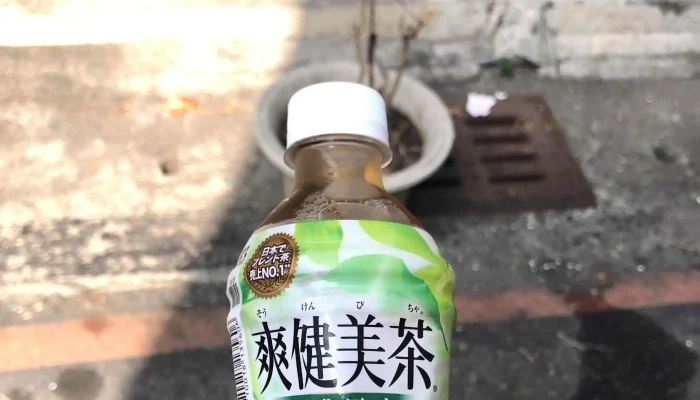 Jia He Chao Shang 評論 - Kaohsiung City, Sinsing District