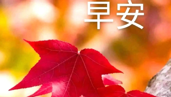 Jia Le Fu Chao Shi Tai Bei Nong An Dian 網站 - Taipei City, Zhongshan District